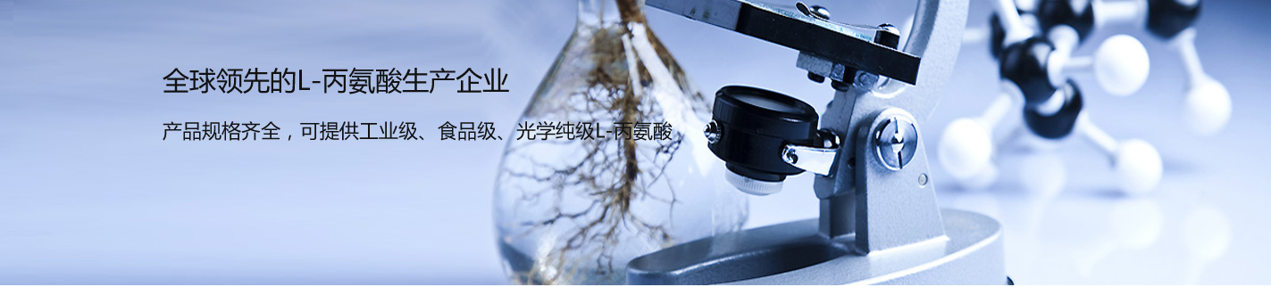 工業級L-丙氨酸